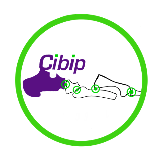 cibip manresa